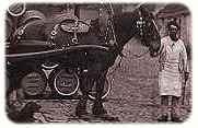 Photo: Punch, a William Younger dray horse, c1871 [courtesy Scottish Brewing Archive]