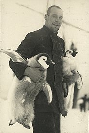 Hubert Hudson holding emperor penguins