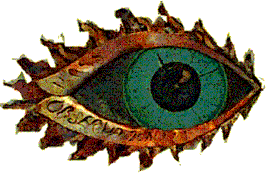 Mass-Observation Eye